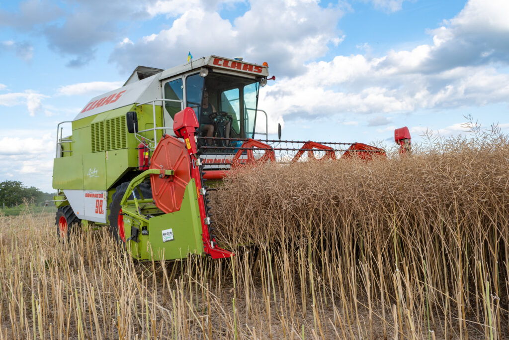 România conduce UE la numărul de lucrători în agricultură! România conduce UE la numărul de lucrători în agricultură!