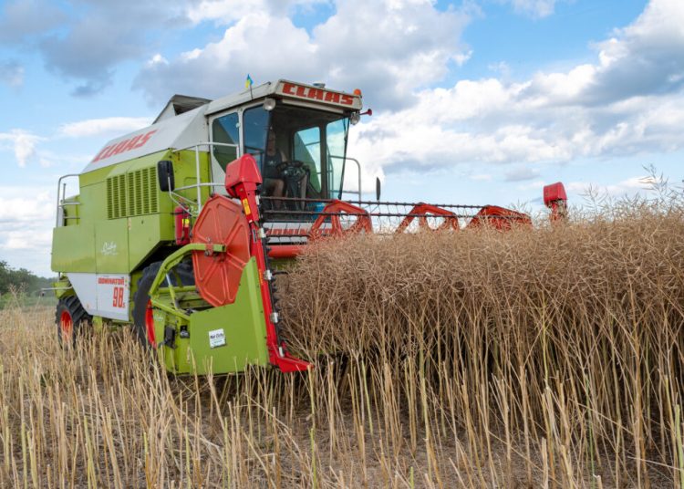 România conduce UE la numărul de lucrători în agricultură! România conduce UE la numărul de lucrători în agricultură!