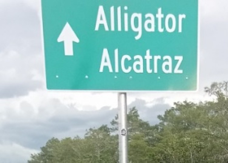 Foști deținuți dezvăluie adevărul despre asistența juridică la „Alligator Alcatraz” Foști deținuți dezvăluie adevărul despre asistența juridică la „Alligator Alcatraz”