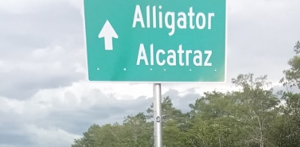 Foști deținuți dezvăluie adevărul despre asistența juridică la „Alligator Alcatraz” Foști deținuți dezvăluie adevărul despre asistența juridică la „Alligator Alcatraz”