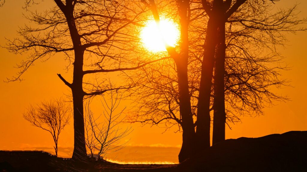 Patru săptămâni de vreme neobișnuită până în martie, anunță ANM! Patru săptămâni de vreme neobișnuită până în martie, anunță ANM!