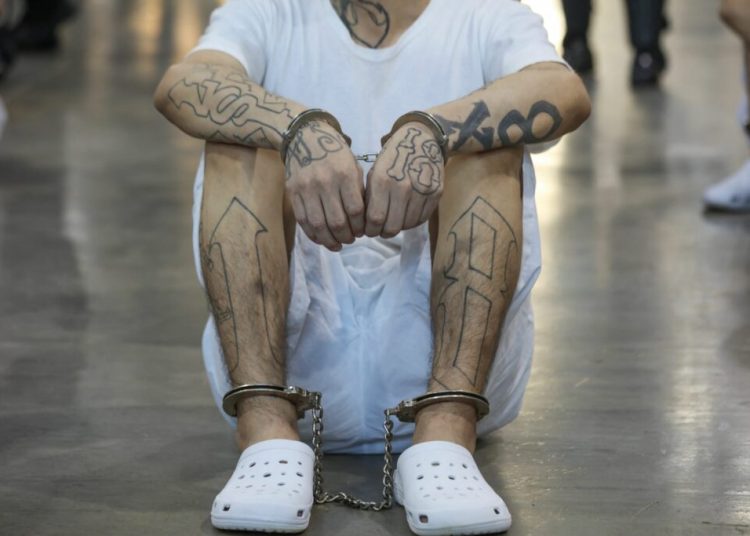 Cum a redus această țară europeană violența: lecții pentru România Cum a redus această țară europeană violența: lecții pentru România