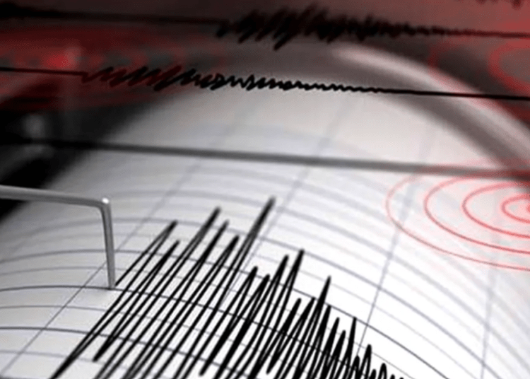 Cutremur devastator de 7 grade în Taiwan: Imagini șocante surprinse! Cutremur devastator de 7 grade în Taiwan: Imagini șocante surprinse!