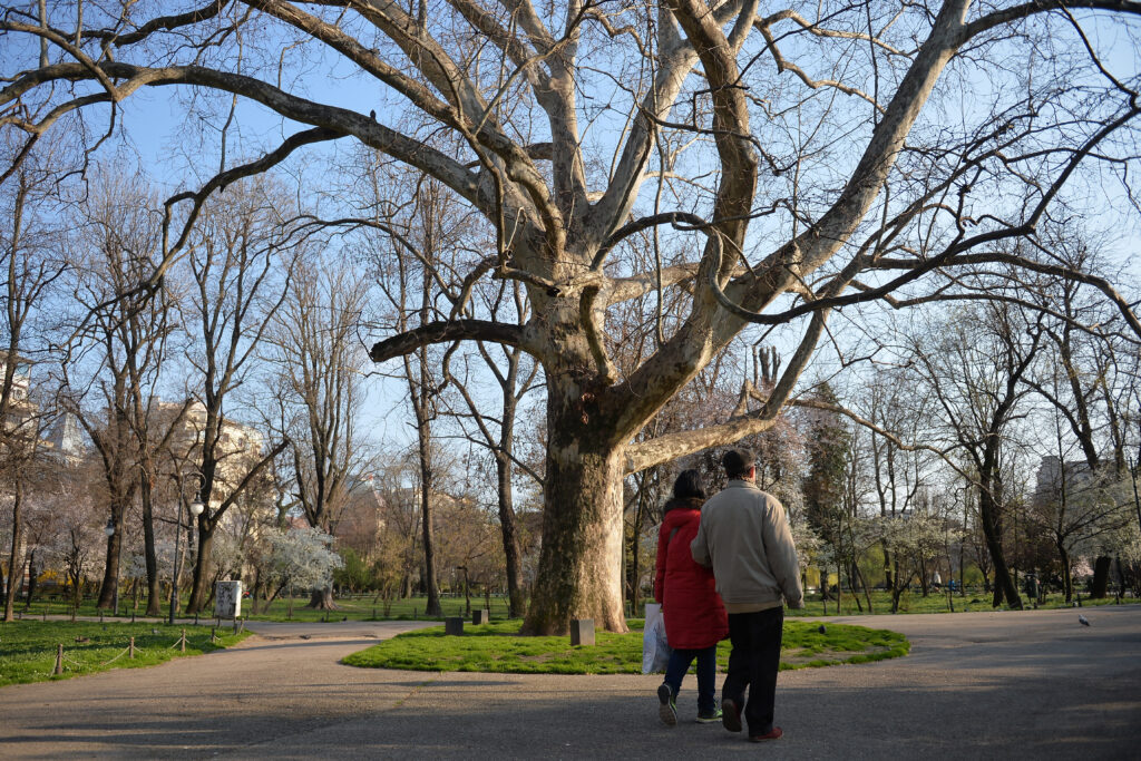 Temperaturi surpriză în prognoza meteo: Ce ne așteaptă săptămânile viitoare! Temperaturi surpriză în prognoza meteo: Ce ne așteaptă săptămânile viitoare!