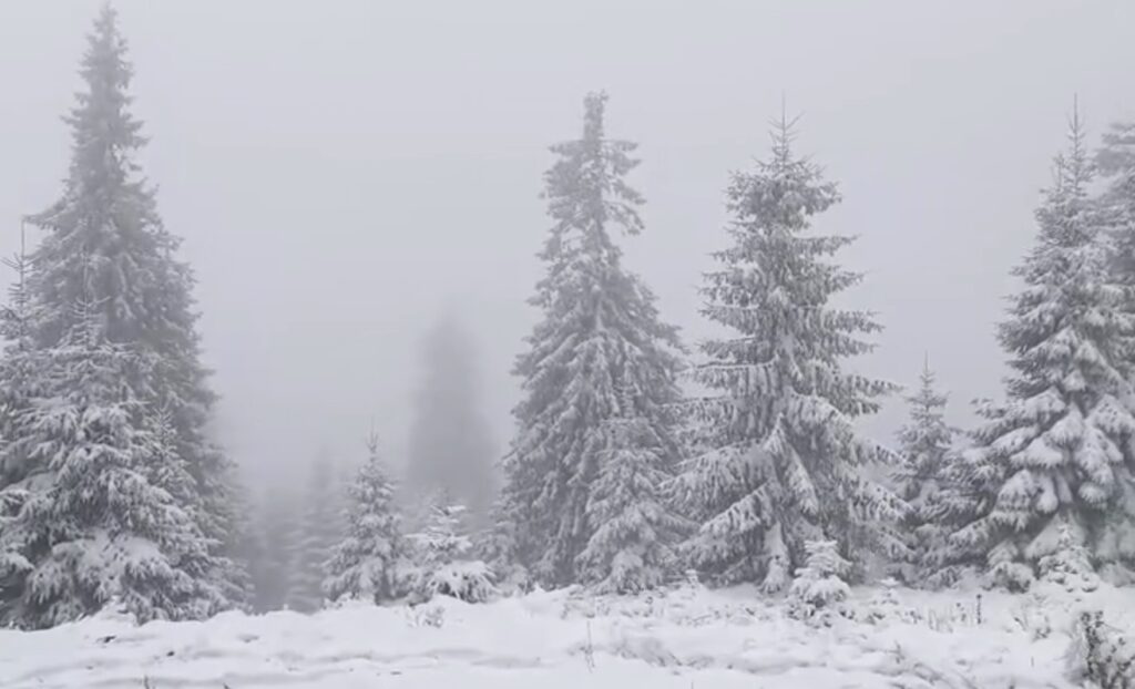 Weekend de vis la munte: ninsori spectaculoase în prognoză! Weekend de vis la munte: ninsori spectaculoase în prognoză!