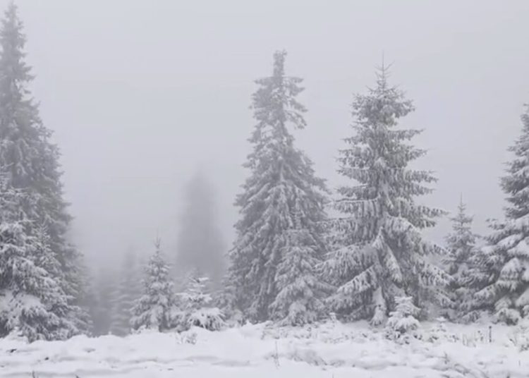 Weekend de vis la munte: ninsori spectaculoase în prognoză! Weekend de vis la munte: ninsori spectaculoase în prognoză!