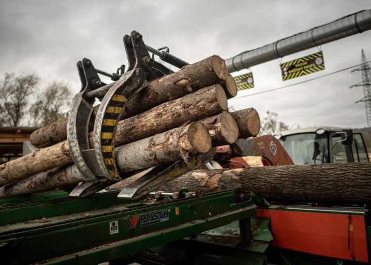 Europa pierde bătălia climatică: anul în care profiturile petroliere explodează Europa pierde bătălia climatică: anul în care profiturile petroliere explodează