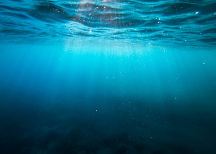 Bacul Zimnicea-Sviștov, oprit temporar din cauza vremii capricioase Bacul Zimnicea-Sviștov, oprit temporar din cauza vremii capricioase