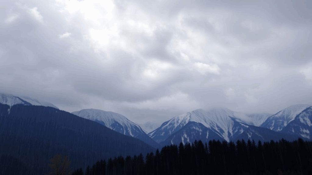 Alertă meteo: Vânt extrem în Suceava și ceață în alte patru județe! Alertă meteo: Vânt extrem în Suceava și ceață în alte patru județe!