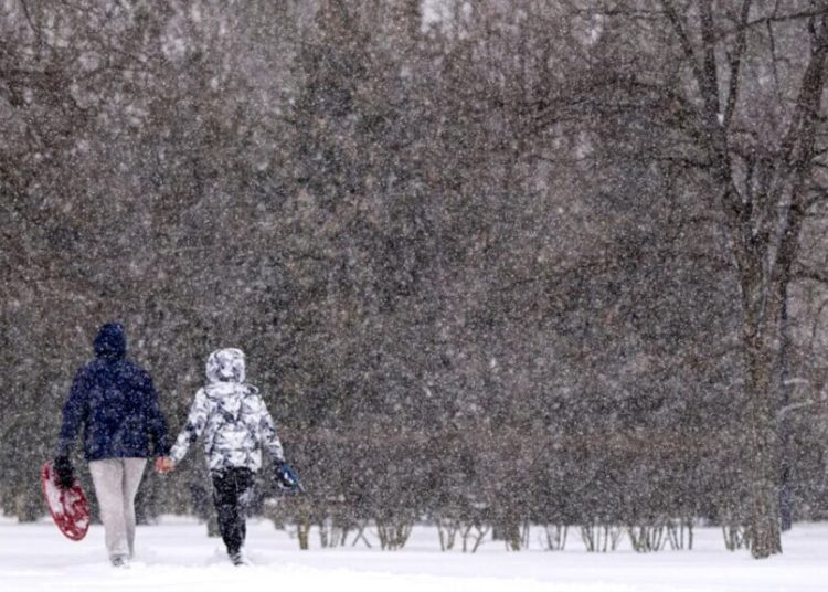 Alertă de viscol în Vrancea și Buzău: rafale de 85 km/h! Alertă de viscol în Vrancea și Buzău: rafale de 85 km/h!
