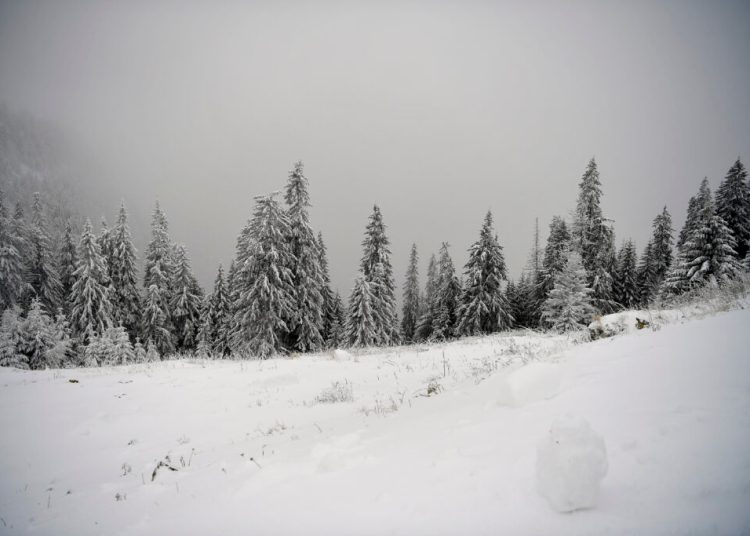 Cod roșu în Carpați: Vânturi violente de 120 km/h în următoarele 24 de ore! Cod roșu în Carpați: Vânturi violente de 120 km/h în următoarele 24 de ore!