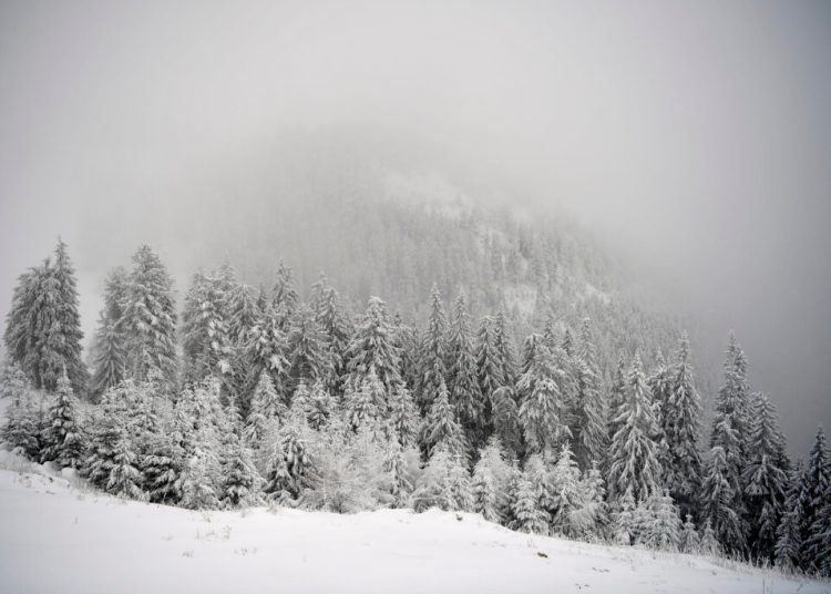 Alertă meteo: Cod roșu de vânt puternic în județul Alba! Alertă meteo: Cod roșu de vânt puternic în județul Alba!