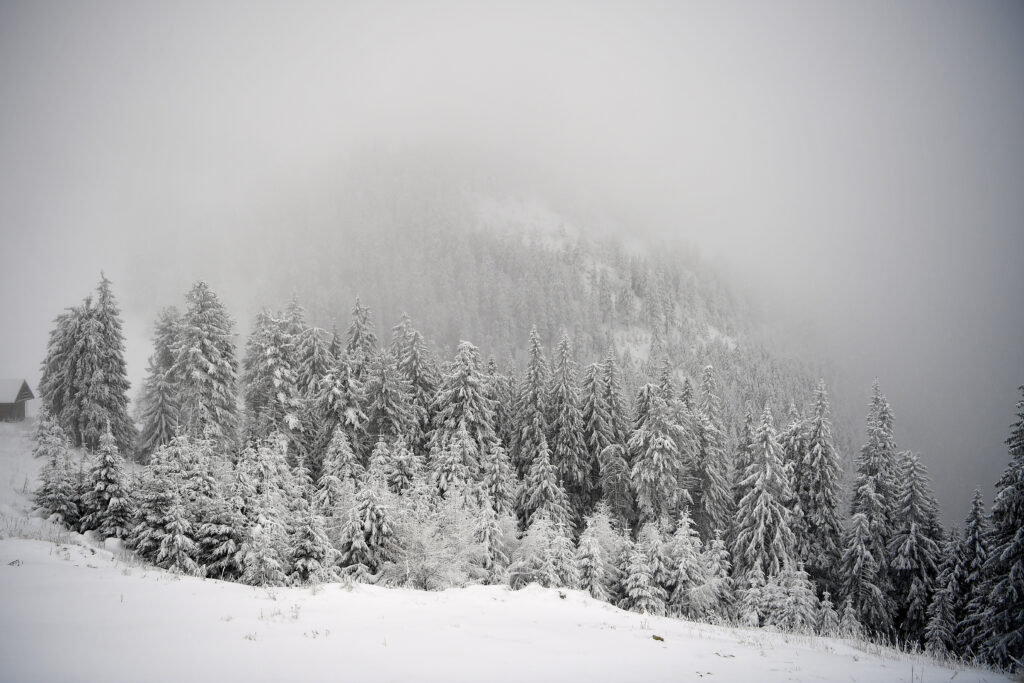 Alertă meteo: Cod roșu de vânt puternic în județul Alba! Alertă meteo: Cod roșu de vânt puternic în județul Alba!