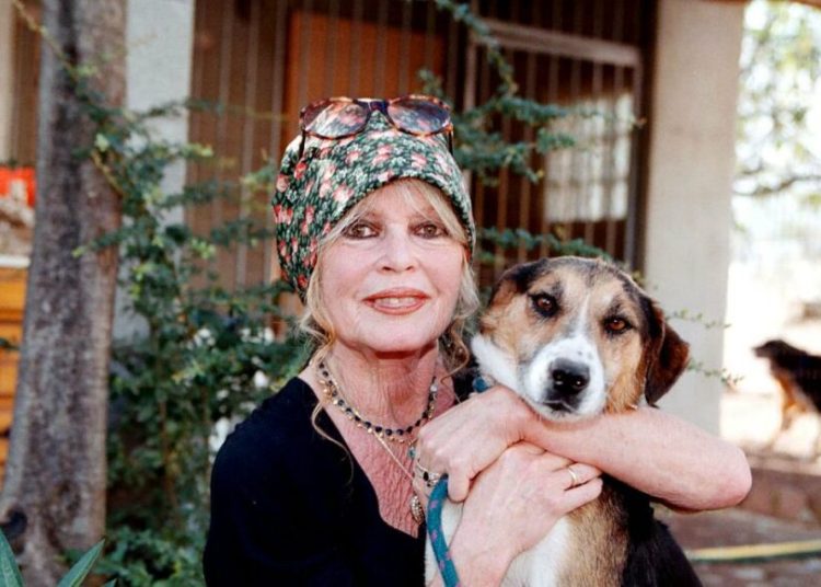 Brigitte Bardot, legenda cinematografiei, îngropată la Saint Tropez! Brigitte Bardot, legenda cinematografiei, îngropată la Saint Tropez!