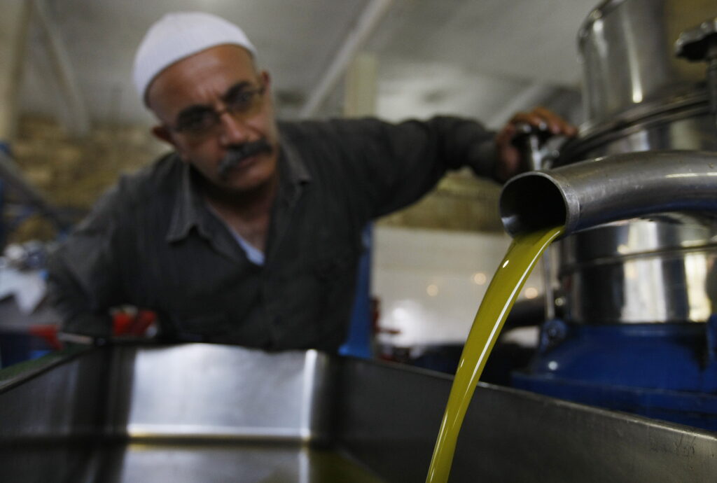 Revoluție în uleiul de măsline: O țară nord-africană își ia avânt! Revoluție în uleiul de măsline: O țară nord-africană își ia avânt!