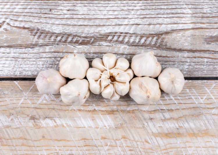 Usturoiul chinezesc domină piața europeană: 70% din importuri! Usturoiul chinezesc domină piața europeană: 70% din importuri!