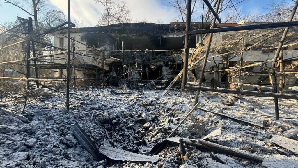 Atac devastator al Rusiei: lei răniți și păsări masacrate lângă Harkov Atac devastator al Rusiei: lei răniți și păsări masacrate lângă Harkov