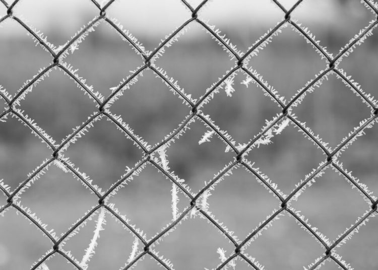 București se pregătește pentru frig extrem: zile geroase în față! București se pregătește pentru frig extrem: zile geroase în față!