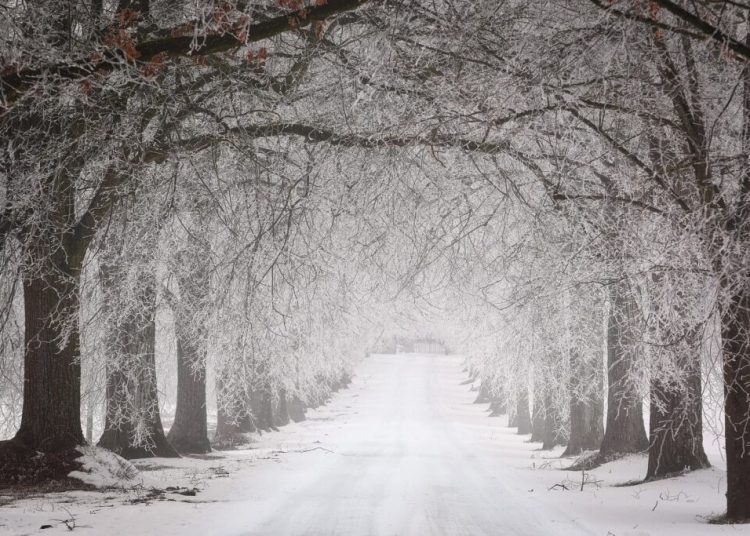 Februarie: Avertizări ANM despre vremea capricioasă și extremele termice Februarie: Avertizări ANM despre vremea capricioasă și extremele termice