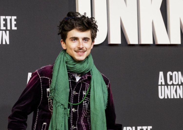 Timothée Chalamet face istorie: prima victorie la Globul de Aur! Timothée Chalamet face istorie: prima victorie la Globul de Aur!