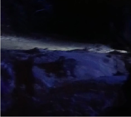 Atenție, schiori! Urs surprins lângă telecabina din Straja! Atenție, schiori! Urs surprins lângă telecabina din Straja!