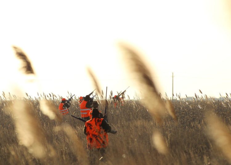 Bărbat grav rănit la vânătoare în Buzău, dus de urgență cu elicopterul! Bărbat grav rănit la vânătoare în Buzău, dus de urgență cu elicopterul!