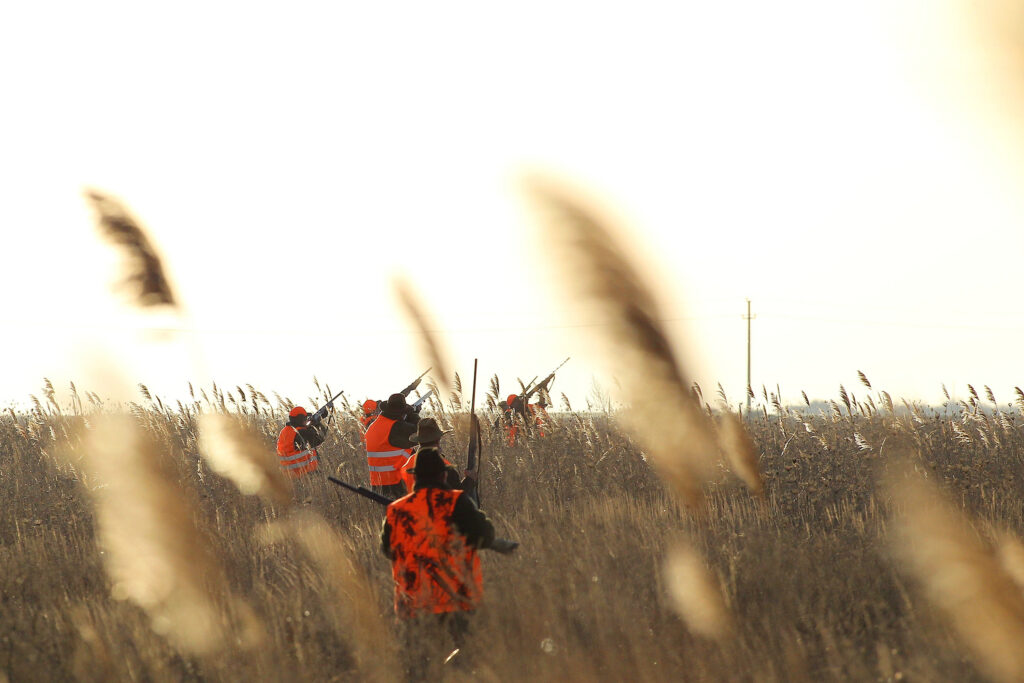 Bărbat grav rănit la vânătoare în Buzău, dus de urgență cu elicopterul! Bărbat grav rănit la vânătoare în Buzău, dus de urgență cu elicopterul!