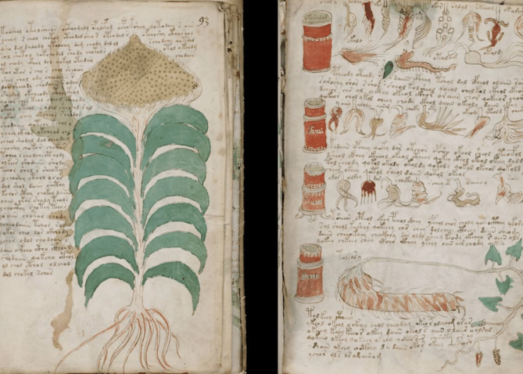 Descoperiri fascinante despre misteriosul Manuscris Voynich! Descoperiri fascinante despre misteriosul Manuscris Voynich!
