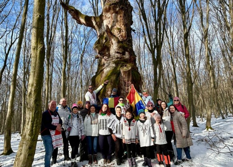 Mica Unire celebrată cu Hora Unirii sub un stejar milenar în Sibiu! Mica Unire celebrată cu Hora Unirii sub un stejar milenar în Sibiu!
