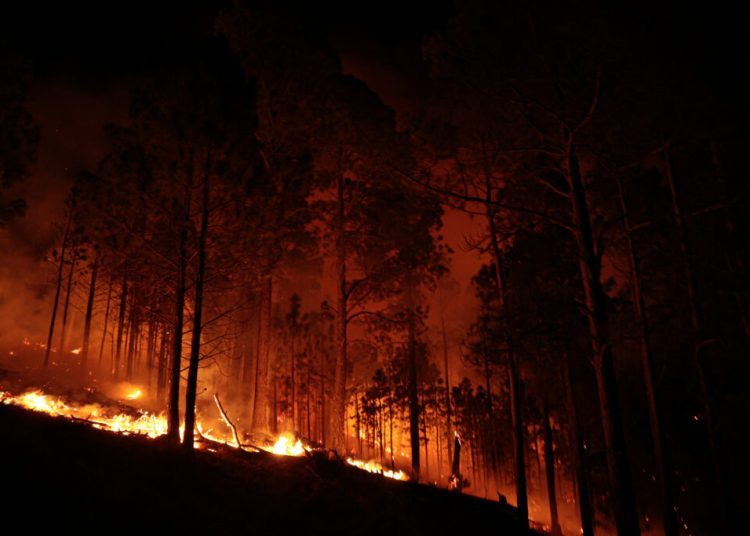 Incendii devastatoare în Argentina: 3000 de turiști evacuați! Incendii devastatoare în Argentina: 3000 de turiști evacuați!