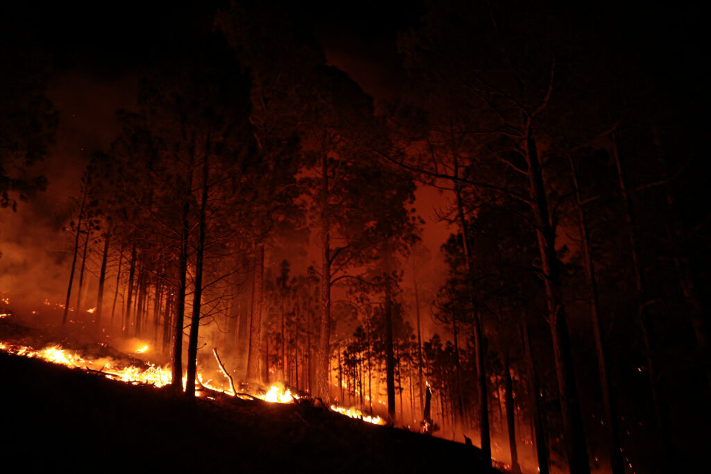 Incendii devastatoare în Argentina: 3000 de turiști evacuați! Incendii devastatoare în Argentina: 3000 de turiști evacuați!