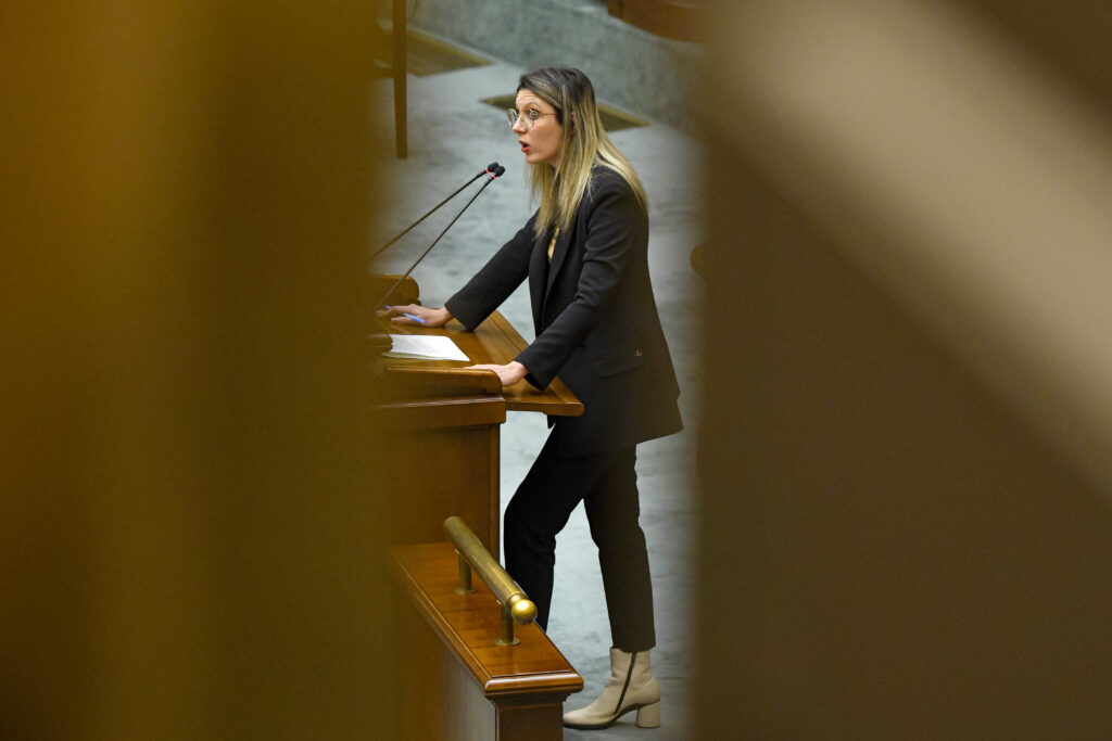 Stejar secular distrus în pădurea Felix: dosare penale în desfășurare! Stejar secular distrus în pădurea Felix: dosare penale în desfășurare!