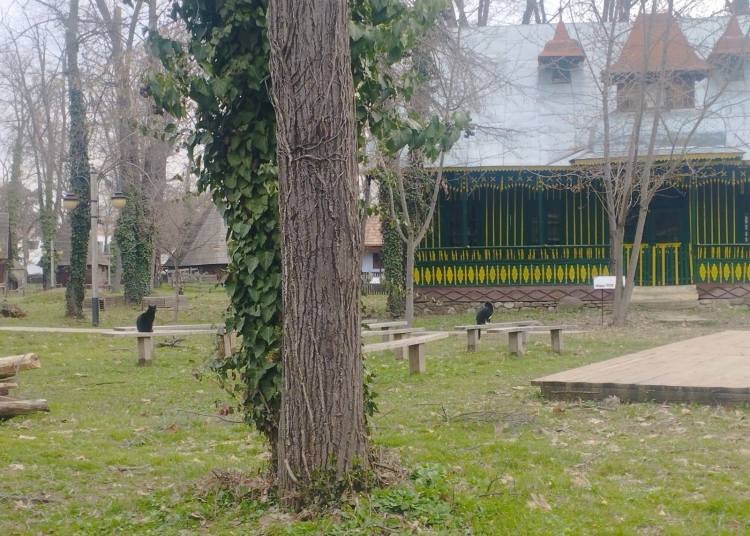 Muzeul Satului: Program de Paște și orar de vară 2024 Muzeul Satului: Program de Paște și orar de vară 2024