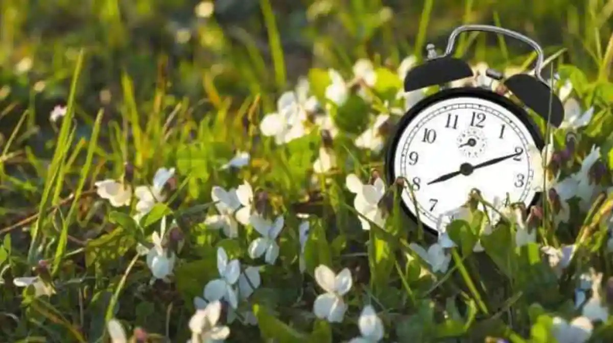 Ora de vară 2026: noaptea aceasta ceasurile se dau înainte cu o oră — ce trebuie să știi și efectele asupra sănătății Ora de vară 2026: noaptea aceasta ceasurile se dau înainte cu o oră — ce trebuie să știi și efectele asupra sănătății