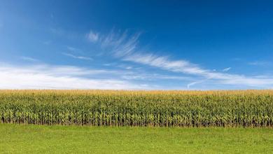 Let’s break down what you have to watch this week Let’s break down what you have to watch this week