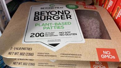 Resurgence of Meme Stocks Drives Return of Central Meme Investment Fund Resurgence of Meme Stocks Drives Return of Central Meme Investment Fund