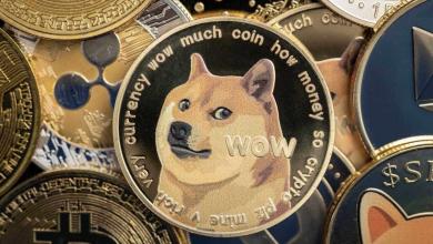 This Penny stock wants to become the microstrategy of Dogecoin This Penny stock wants to become the microstrategy of Dogecoin