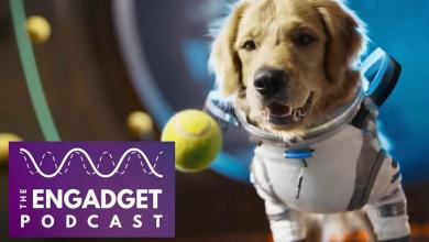 How to survive our AI video hellscape How to survive our AI video hellscape