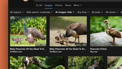 DuckDuckGo now allows you to filter the AI images in research results DuckDuckGo now allows you to filter the AI images in research results