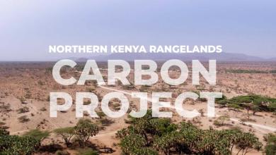 One of the sources of carbon credits in the technological industry is in conflict with Kenyan breeders One of the sources of carbon credits in the technological industry is in conflict with Kenyan breeders