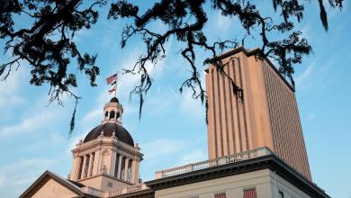 Florida pursues several pornographic companies on age verification Florida pursues several pornographic companies on age verification