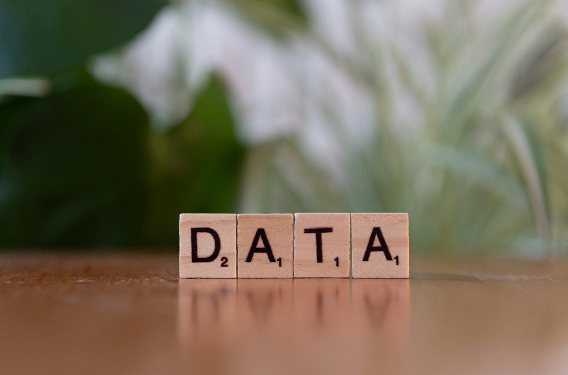 Data Has No Moat! | Towards Data Science Data Has No Moat! | Towards Data Science