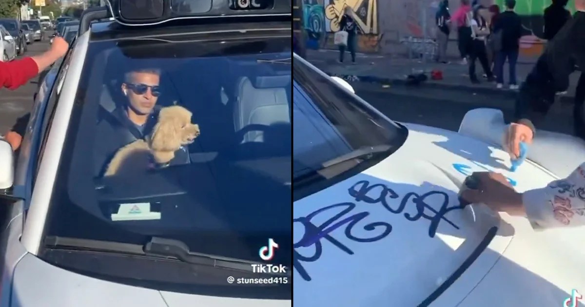 Self-Driving Taxi Passenger Clutches Dog as Hoodlums Tag Graffiti on Vehicle Self-Driving Taxi Passenger Clutches Dog as Hoodlums Tag Graffiti on Vehicle