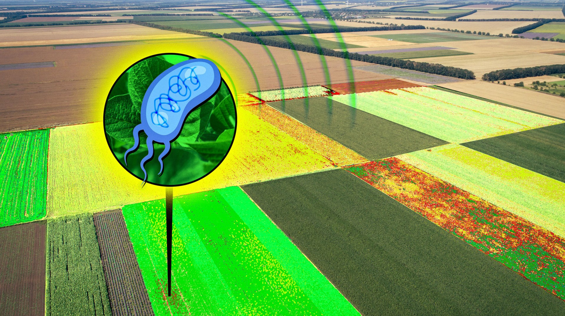 Crop signals | MIT Technology Review Crop signals | MIT Technology Review