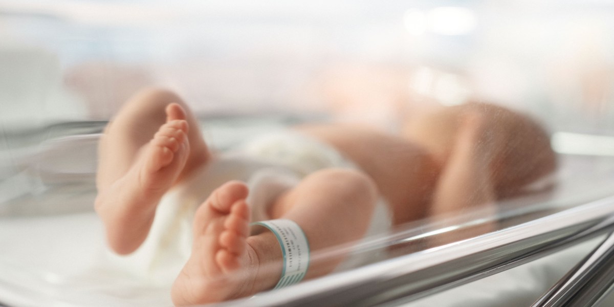 A brief history of “three-parent babies” A brief history of “three-parent babies”