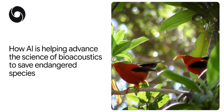 How AI is helping advance the science of bioacoustics to save endangered species How AI is helping advance the science of bioacoustics to save endangered species