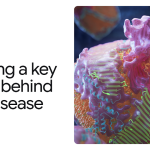 AlphaFold Reveals a Key Protein Behind Heart Disease AlphaFold Reveals a Key Protein Behind Heart Disease