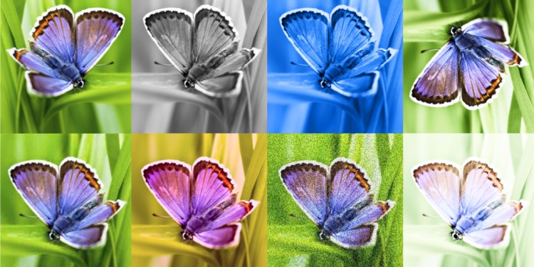 Identifying AI-generated images with SynthID Identifying AI-generated images with SynthID