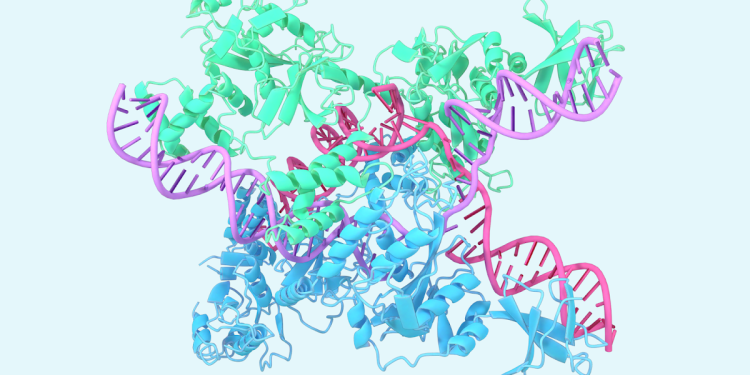 A glimpse of the next generation of AlphaFold A glimpse of the next generation of AlphaFold