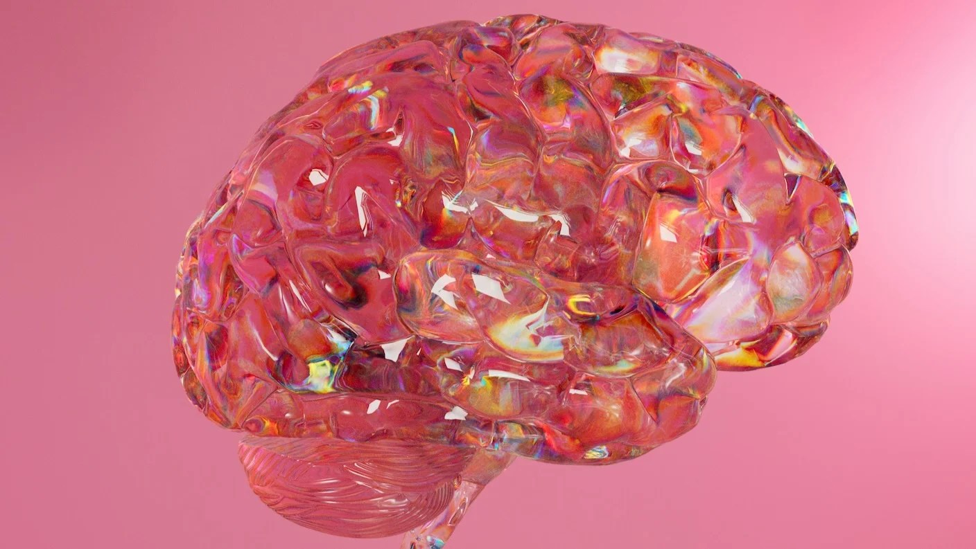 Why Are Our Brains So Big? Because They Excel at Damage Control Why Are Our Brains So Big? Because They Excel at Damage Control